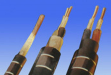 电力电缆