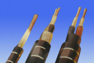 电力电缆 电力电缆